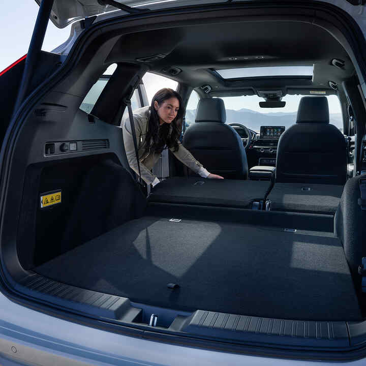 Honda CR-V Plug-in Hybrid SUV bagside med nedklappede bagsæder og en hund i bagagerummet.