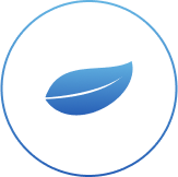 Emissionsikon